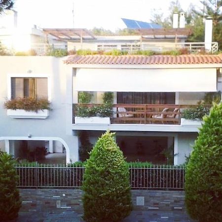 Fantastic Villa, A 5 Minute Drive From The Beach! Athens Exterior photo